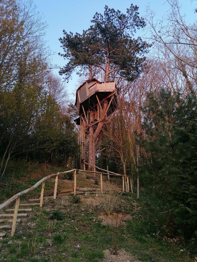 Sherwood Tree Étretat Eksteriør bilde